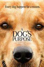 Watch A Dog's Purpose Zumvo
