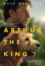 Arthur the King zumvo