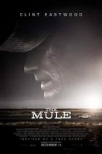 Watch The Mule Zumvo