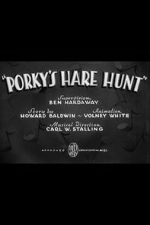 Watch Porky\'s Hare Hunt Zumvo