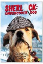 Watch Sherlock Undercover Dog Zumvo