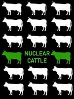 Watch Nuclear Cattle Zumvo