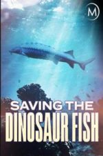 Watch Saving the Dinosaur Fish Zumvo