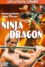 Watch Ninja Dragon Zumvo