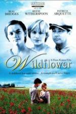 Watch Wildflower Zumvo