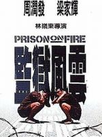 Watch Prison on Fire Zumvo