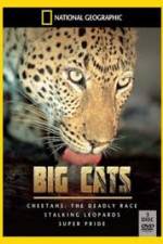 Watch National Geographic: Living With Big Cats Zumvo