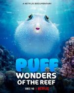 Watch Puff: Wonders of the Reef Zumvo