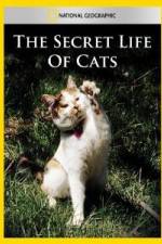 Watch National Geographic The Secret Life of Cats Zumvo