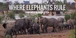 Watch Where Elephants Rule Zumvo