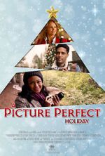 Watch A Picture Perfect Holiday Zumvo