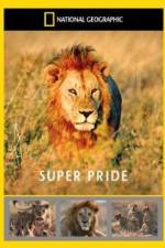 Watch National Geographic: Super Pride Africa\'s Largest Lion Pride Zumvo