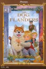 Watch The Dog of Flanders Zumvo