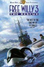 Watch Free Willy 3 The Rescue Zumvo