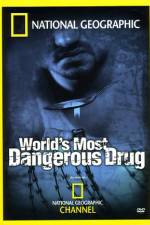 Watch Worlds Most Dangerous Drug Zumvo