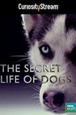 Watch Secret Life of Dogs Zumvo