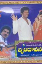 Watch Brundavanam Zumvo