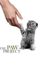 Watch The Paw Project Zumvo