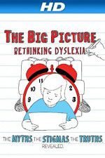 Watch The Big Picture Rethinking Dyslexia Zumvo