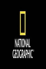 Watch National Geographic Wild Animal Attacks On Vacation Zumvo