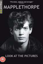 Watch Mapplethorpe: Look at the Pictures Zumvo