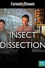 Watch Insect Dissection: How Insects Work Zumvo