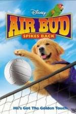 Watch Air Bud Spikes Back Zumvo