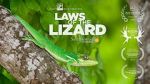 Watch Laws of the Lizard Zumvo