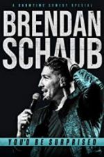 Watch Brendan Schaub: You\'d Be Surprised Zumvo