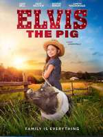 Watch Elvis the Pig Zumvo