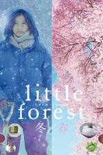 Watch Little Forest: Winter/Spring Zumvo