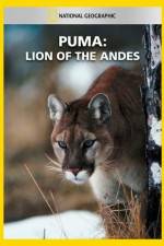 Watch National Geographic Puma: Lion of the Andes Zumvo