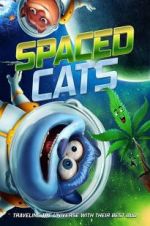 Watch Spaced Cats Zumvo