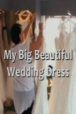 Watch My Big Beautiful Wedding Dress Zumvo