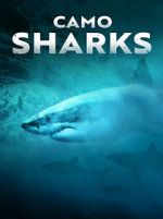Watch Camo Sharks Zumvo