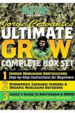 Watch Jorge Cervantes Ultimate Grow Complete Box Set Zumvo