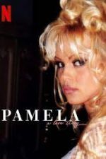 Watch Pamela, a Love Story Zumvo
