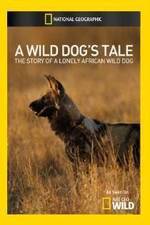 Watch A Wild Dogs Tale Zumvo