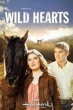 Watch Wild Hearts Zumvo