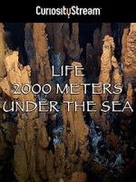 Watch Life 2,000 Meters Under the Sea Zumvo