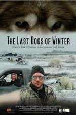 Watch The Last Dogs of Winter Zumvo