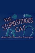 Watch The Stupidstitious Cat Zumvo