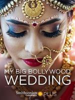 Watch My Big Bollywood Wedding Zumvo