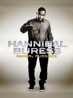 Watch Hannibal Buress: Animal Furnace Zumvo