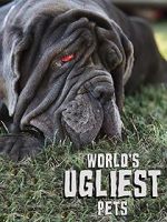 Watch World\'s Ugliest Pets Zumvo