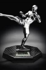 Watch World MMA Awards 2010 Zumvo