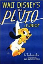 Watch Pluto Junior Zumvo