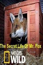 Watch The Secret Life of Mr. Fox Zumvo