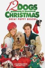 Watch 12 Dogs of Christmas Great Puppy Rescue Zumvo