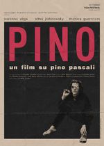 Watch Pino Zumvo